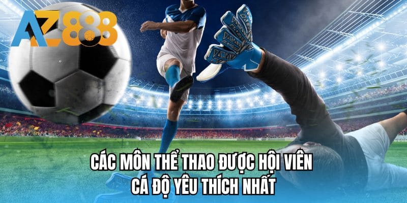 Các môn thể thao được hội viên cá độ yêu thích nhất